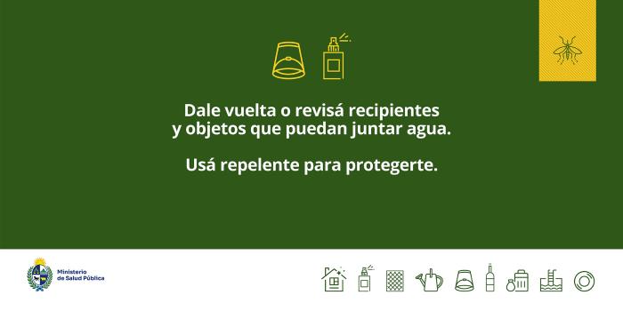 Usá repelente, dale vuelta o tapá recipientes que puedan juntar 